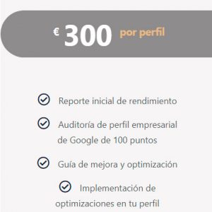 Gestión del Perfil de Google My Business optimización.